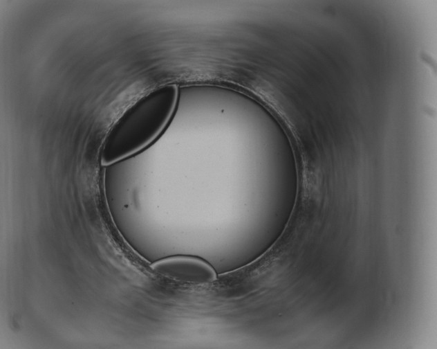 X0000103330485200809121213