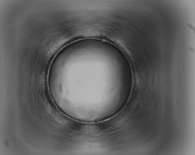 X0000103330487200809121213