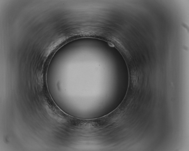 X0000103330488200809121213