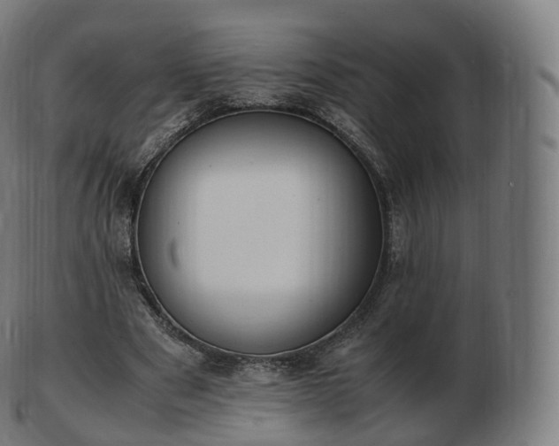 X0000103330489200809121213