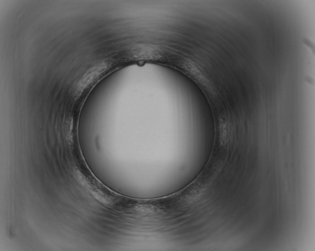 X0000103330490200809121213