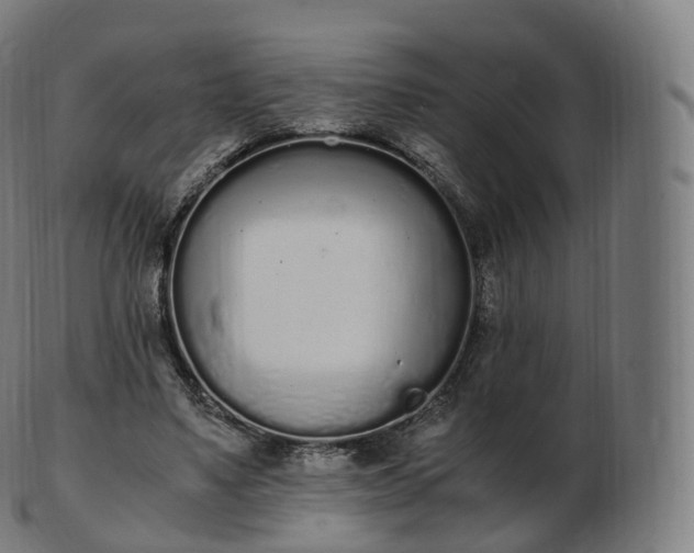 X0000103330491200809121213