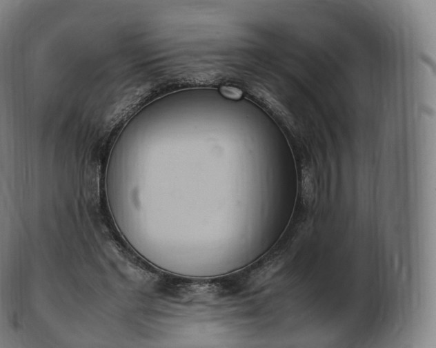 X0000103330493200809121213