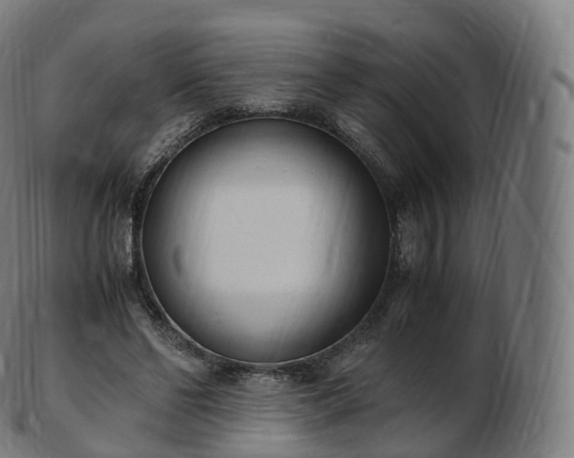 X0000103330494200809121213