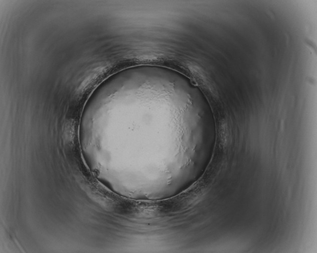 X0000103330495200809121213