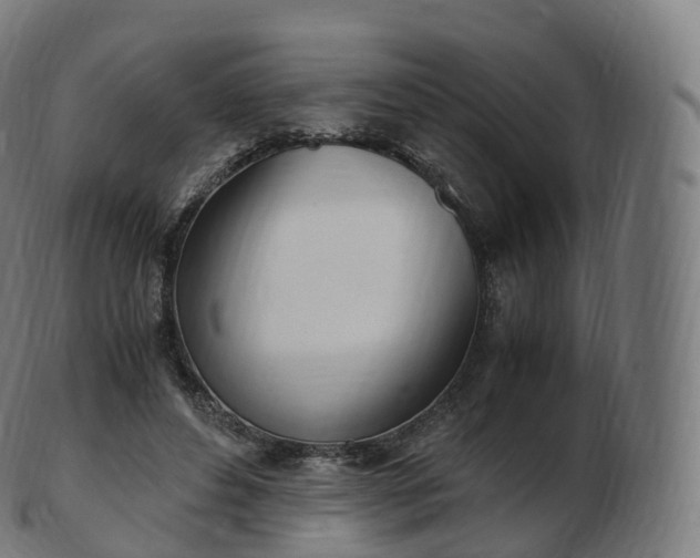 X0000103330496200809121213