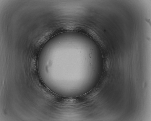 X0000103330497200809121213