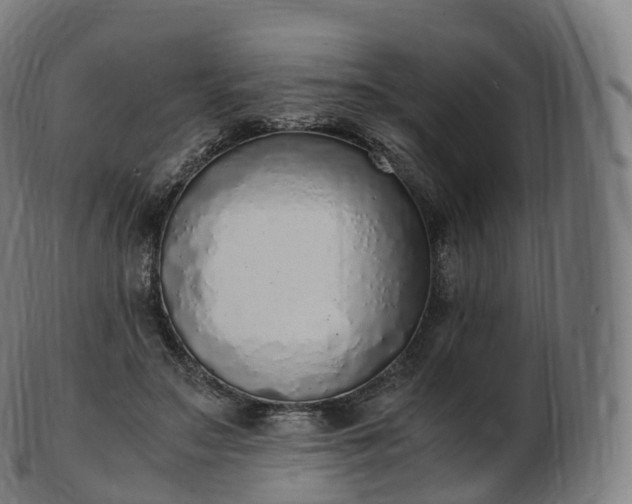 X0000103330499200809121213