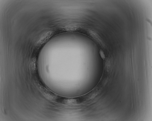 X0000103330501200809121213