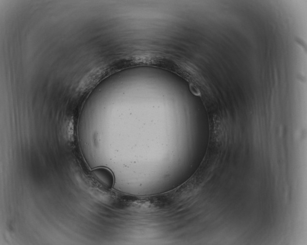 X0000103330502200809121213