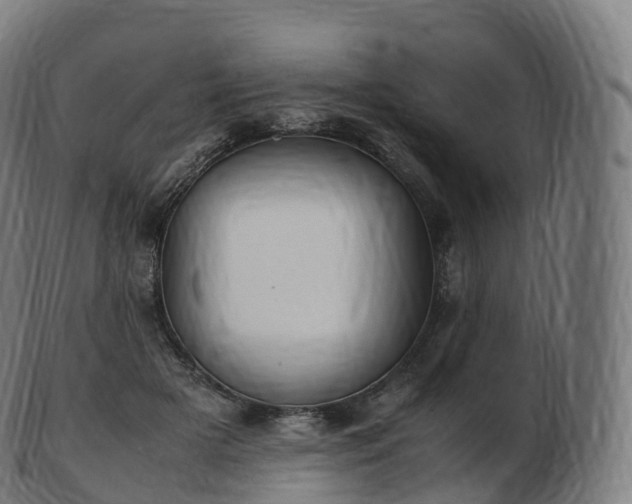 X0000103330505200809121213