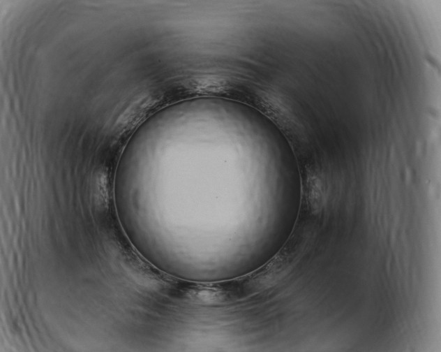 X0000103330506200809121213