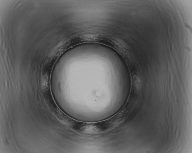 X0000103330507200809121213