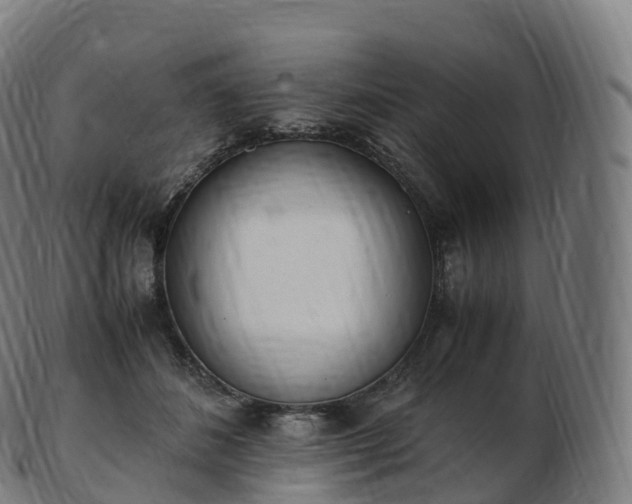 X0000103330508200809121213