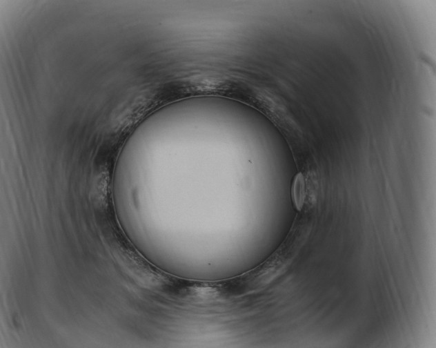 X0000103330509200809121213