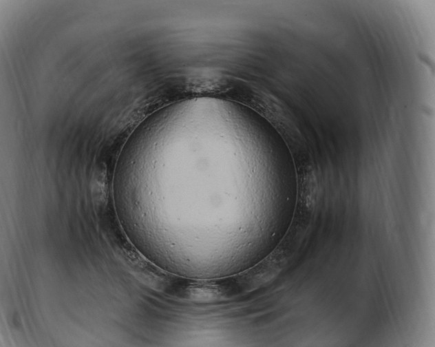 X0000103330510200809121213