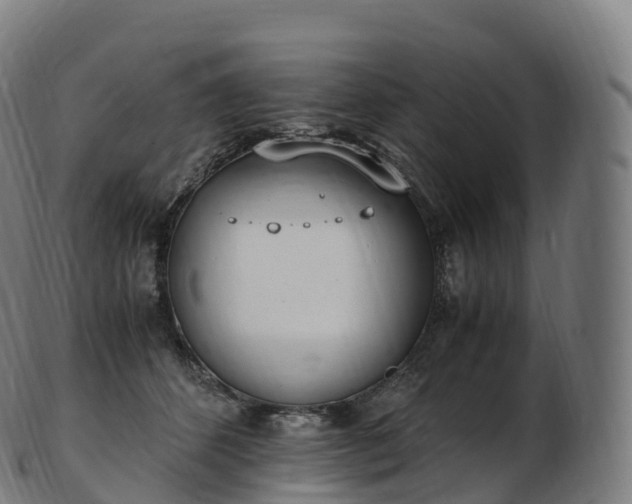 X0000103330512200809121213