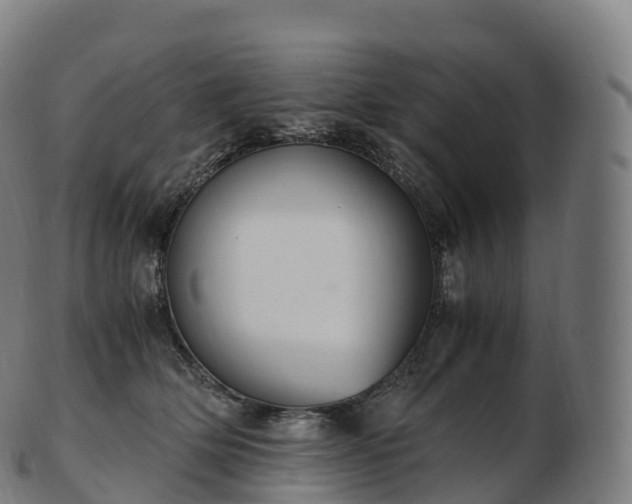 X0000103330514200809121213