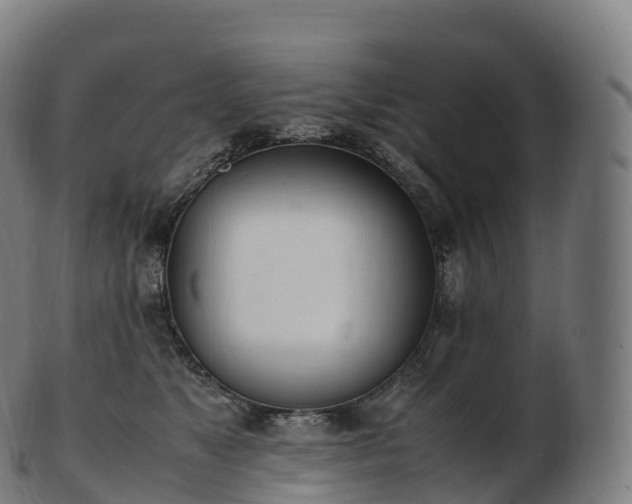 X0000103330517200809121213