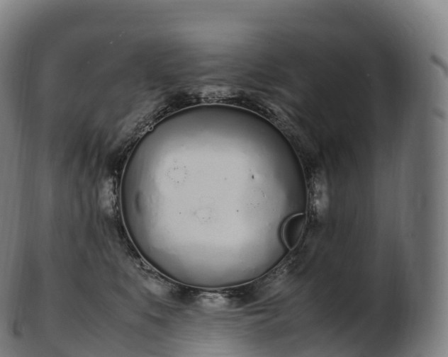 X0000103330519200809121213