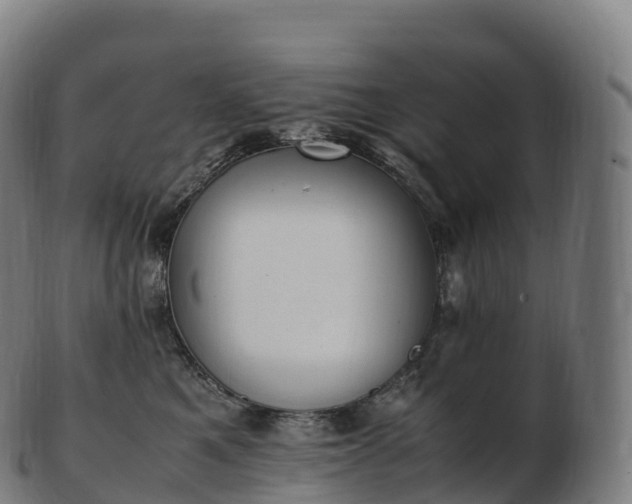 X0000103330521200809121213