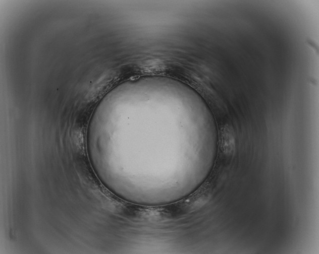 X0000103330523200809121213