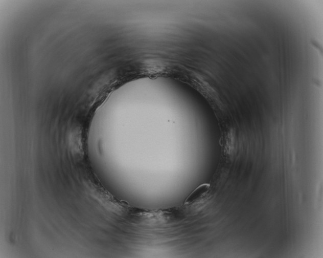 X0000103330524200809121213