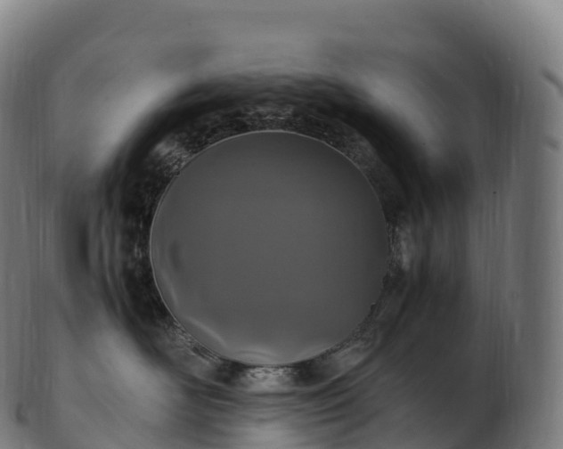 X0000103330526200809121213