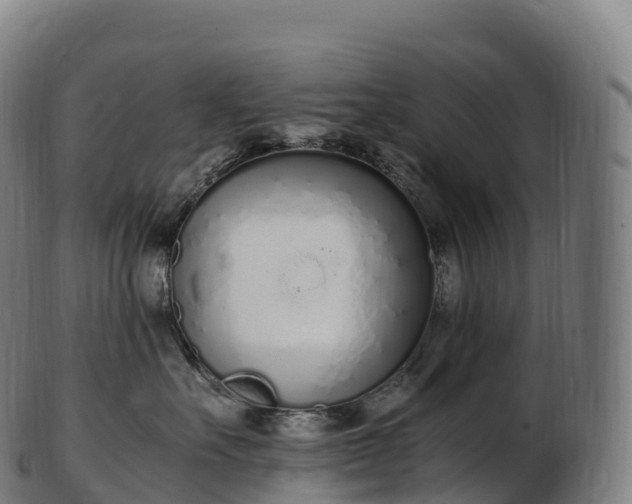 X0000103330527200809121213