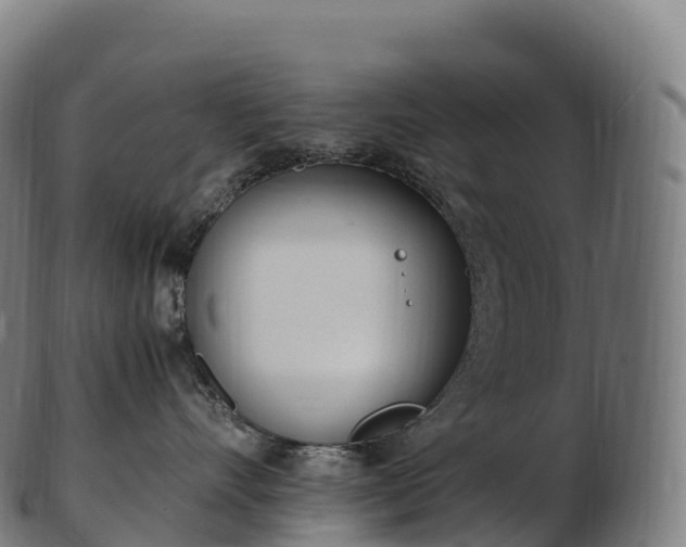 X0000103330528200809121213