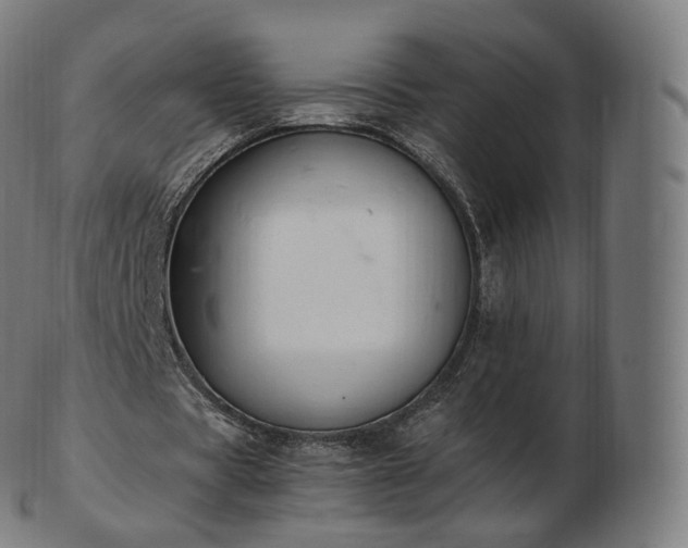 X0000103330529200809121212