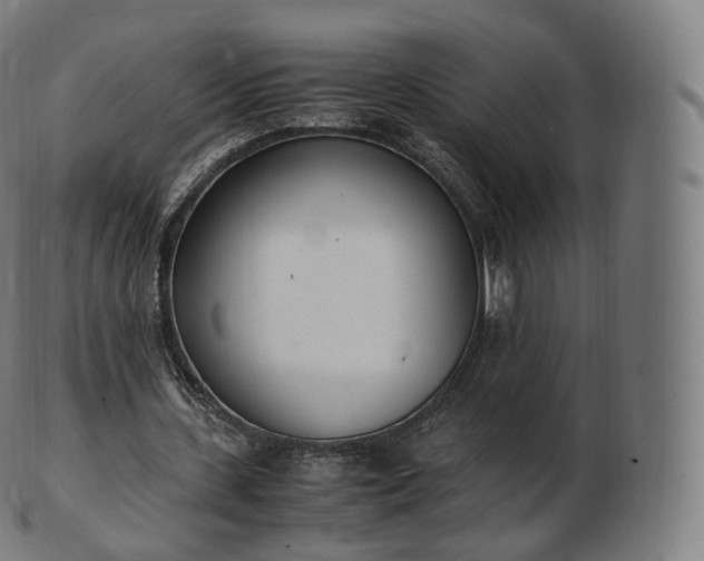 X0000103330531200809121212