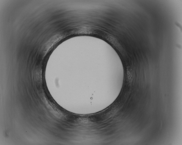 X0000103330534200809121212