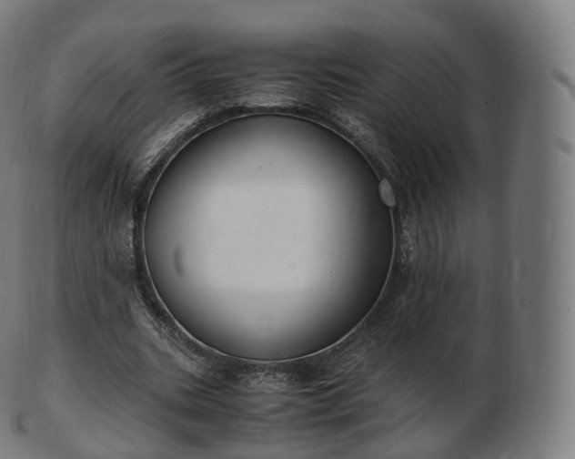 X0000103330535200809121212