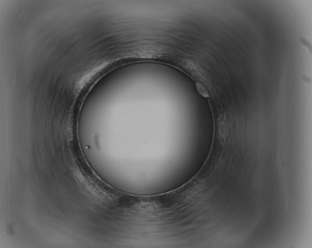 X0000103330536200809121212