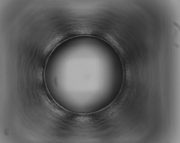 X0000103330537200809121212