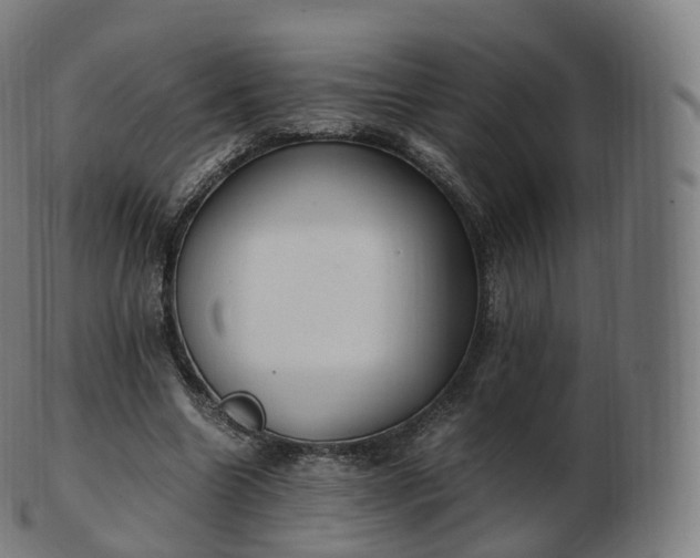 X0000103330538200809121212