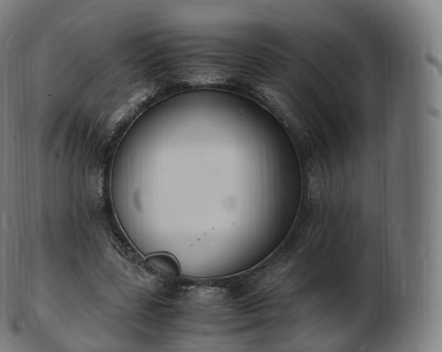 X0000103330539200809121212