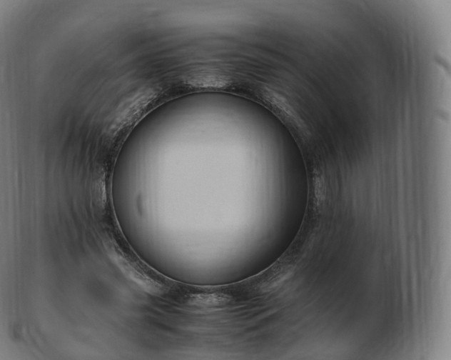 X0000103330541200809121212