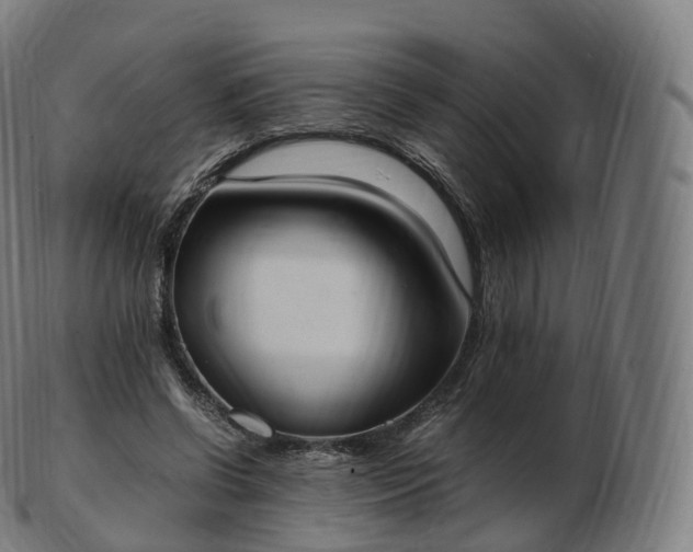 X0000103330542200809121212