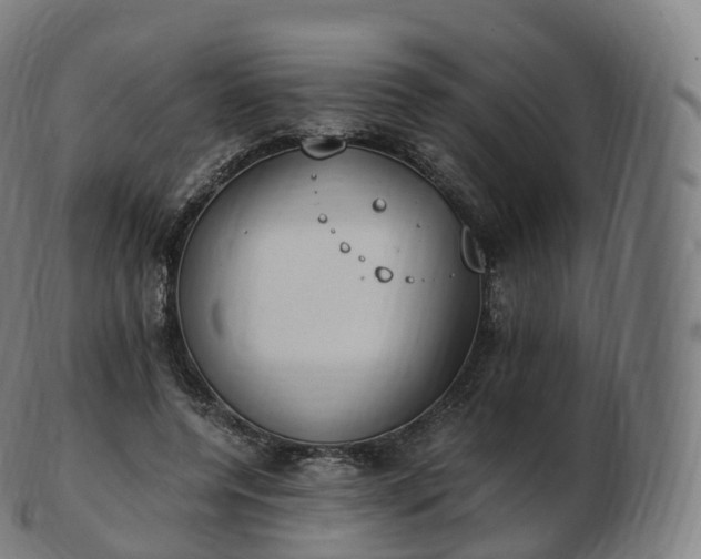 X0000103330544200809121212