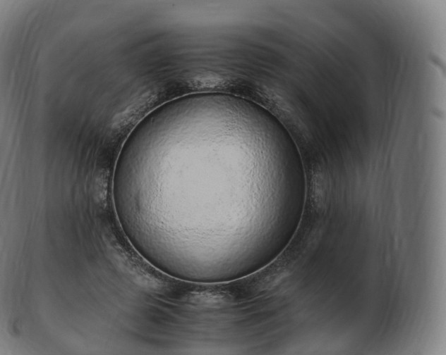 X0000103330545200809121212