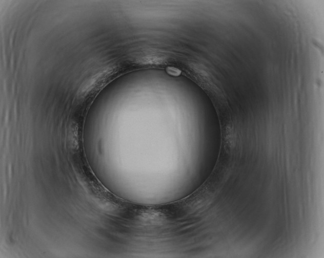 X0000103330547200809121212