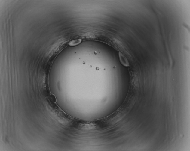 X0000103330548200809121212