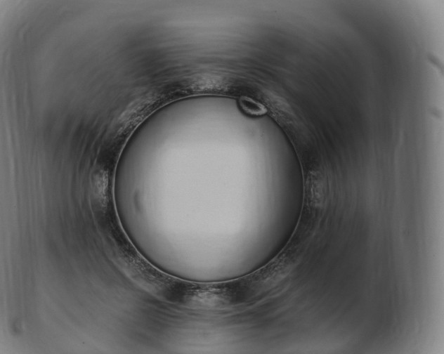 X0000103330550200809121213