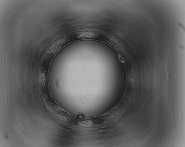 X0000103330551200809121213