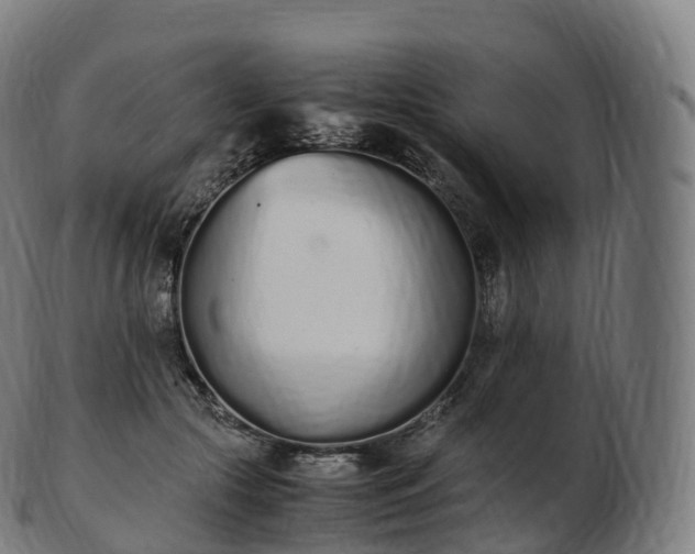 X0000103330553200809121213