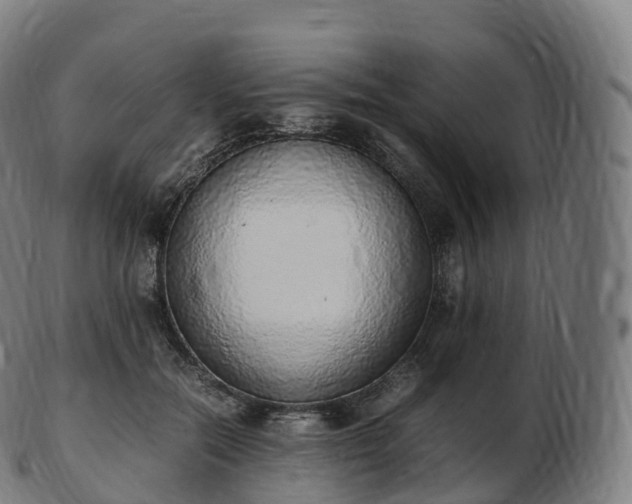 X0000103330554200809121213