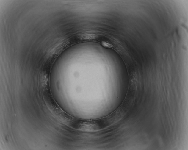 X0000103330555200809121213