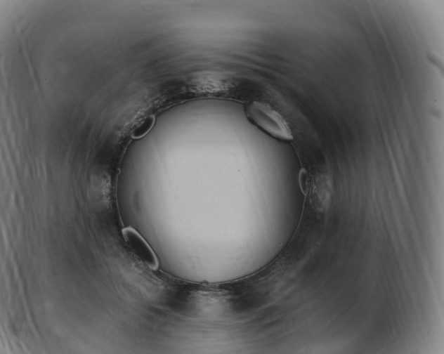 X0000103330556200809121213